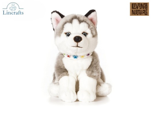Sitting husky puppy plush soft - puppy,