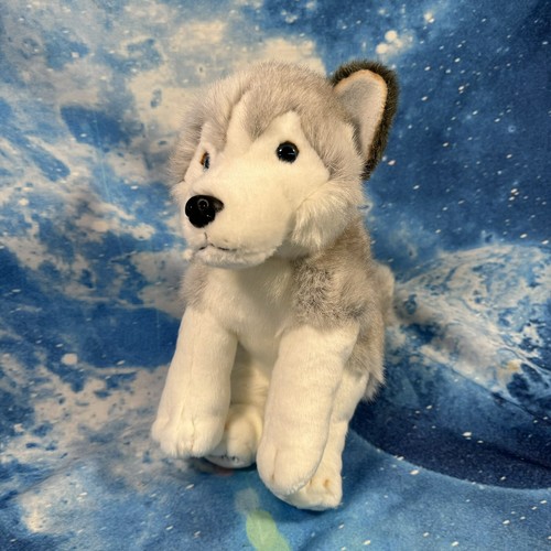 Lapland siberian husky - lapland,