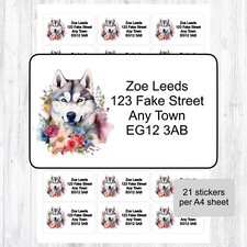 Siberian Husky Shepherd