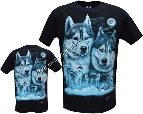 New husky dog puppy puppies - husky,