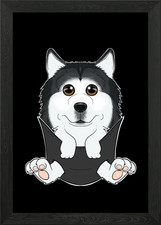 Husky Puppy In Pocket Framed