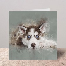 Husky |  Greetings Birthday