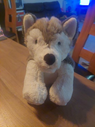 Marks and spencer husky - spencer, m&s