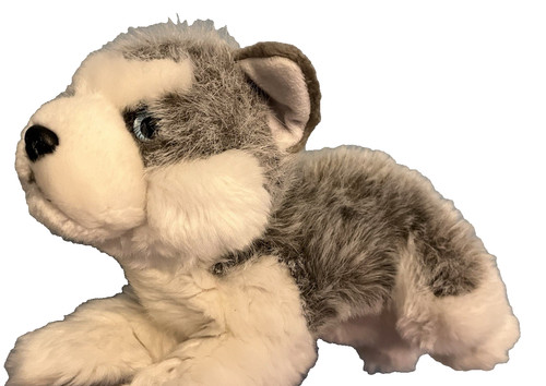 Husky wolf puppy dog - puppy, toy