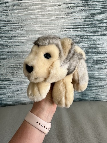 Husky soft keel - keel, dog