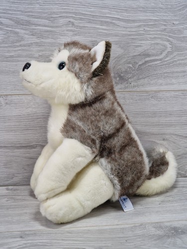 Lapland siberian husky - siberian,