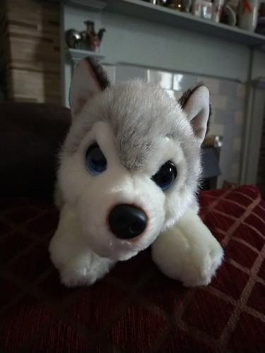 Keel toys cuddle puppies - keel, husky