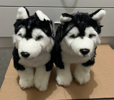 2x Siberian Husky Puppy Dog